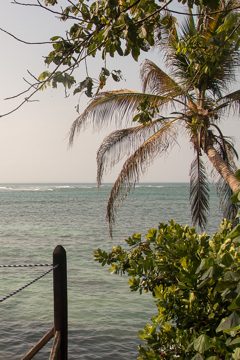 IMG_5329