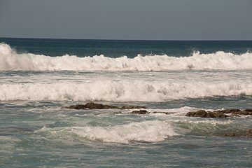 IMG_8900