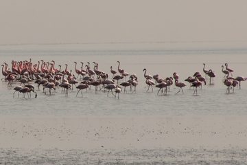 IMG_6922