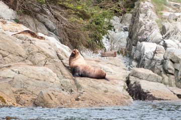 IMG_0724