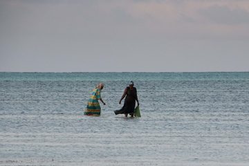 IMG_7805