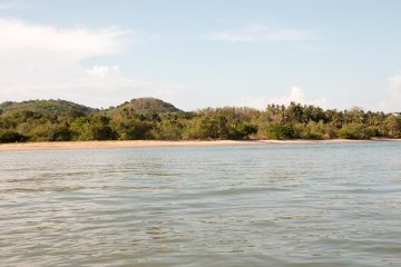 IMG_1160