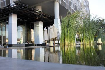 IMG_0641.jpg