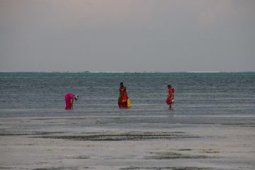 IMG_7810