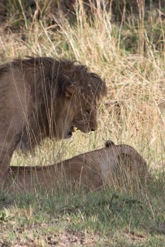 IMG_7514