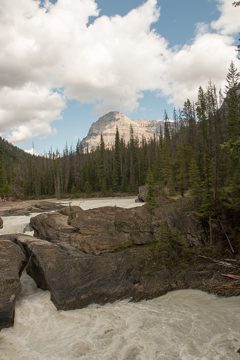 IMG_0525