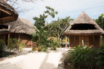 IMG_7861