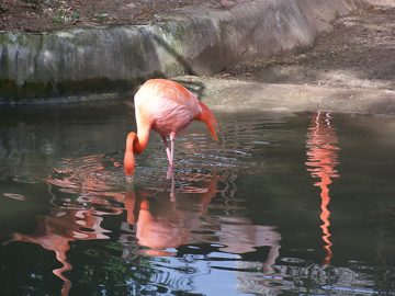 100_2565.jpg