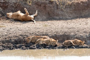 IMG_6176