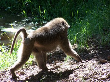 100_1593.jpg