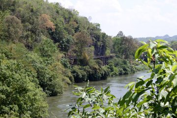 IMG_0380.jpg