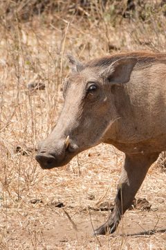 IMG_6111-2