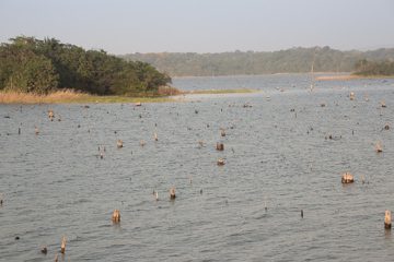 IMG_5194