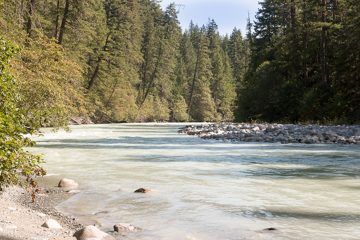 IMG_9852