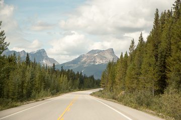 IMG_0281