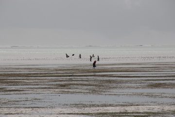 IMG_7885
