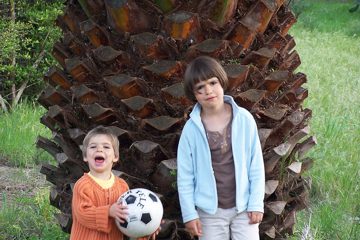 100_2152.jpg