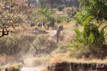 IMG_7734