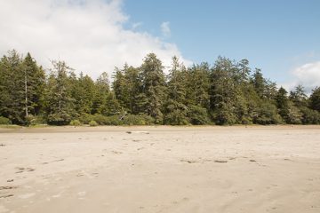 IMG_0900