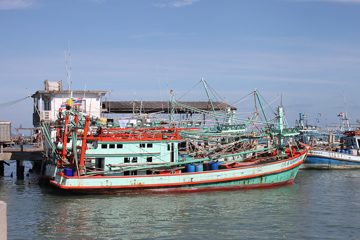 IMG_0807.jpg