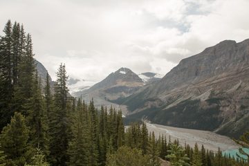IMG_0338