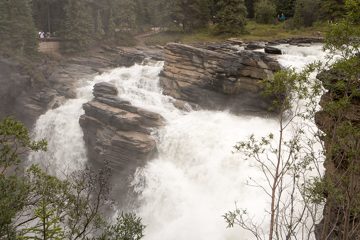 IMG_0113