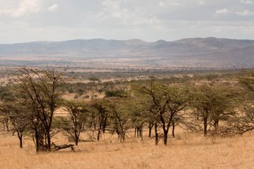 IMG_7221