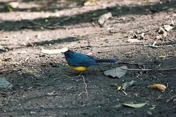 IMG_8696