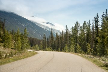 IMG_0031
