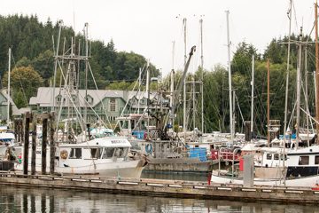 IMG_0710