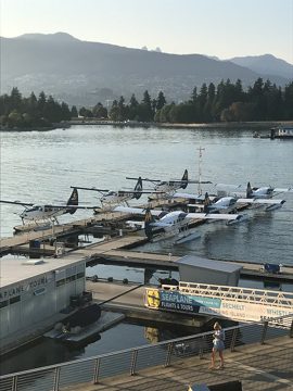 IMG_3156