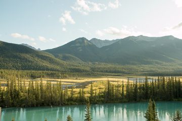 IMG_0595