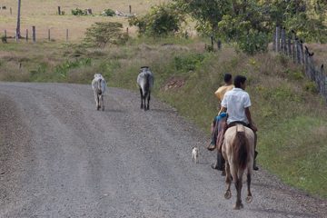 23022012-118.jpg