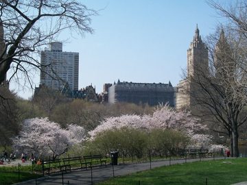 100_0489.jpg