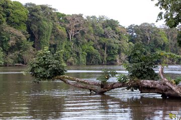 19022012-81.jpg