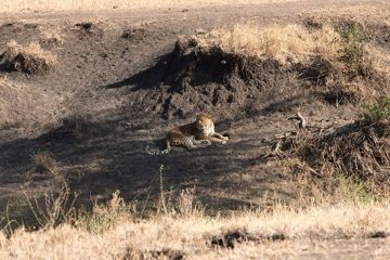 IMG_7246