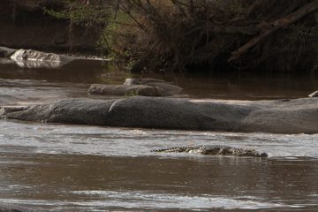IMG_7749