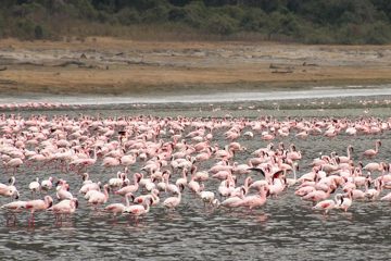 IMG_6546