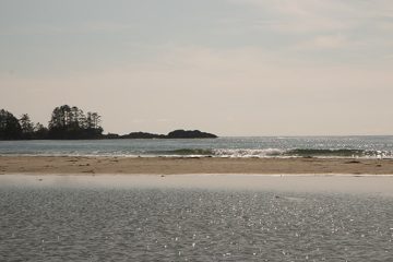 IMG_0906