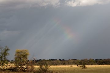 IMG_7750