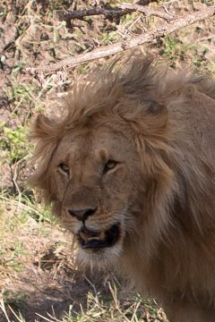 IMG_7541