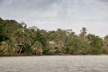 IMG_5584