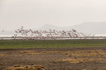 IMG_6870