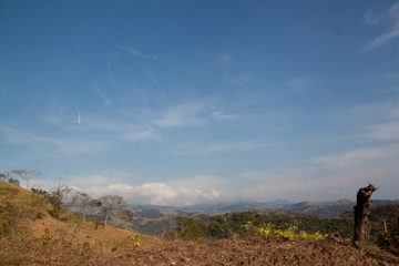 24022012-272.jpg