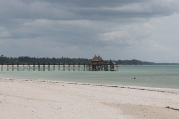 IMG_7915