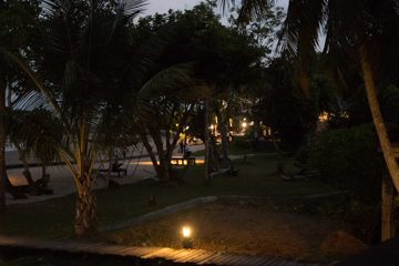 IMG_0940
