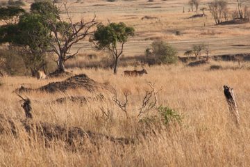 P-IMG_6834-2