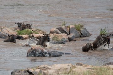 IMG_7684