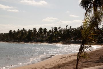 06032013-166.jpg