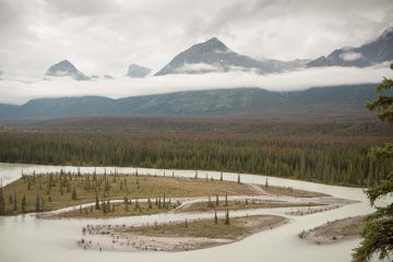 IMG_0120